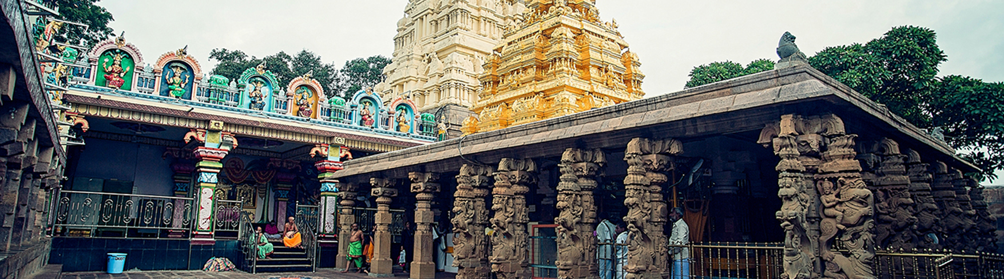 Parv Travels & Consultant
