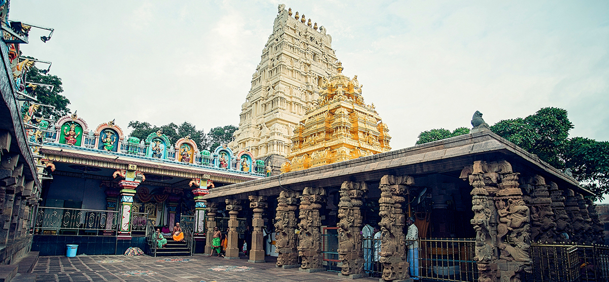 Parv Travels & Consultant