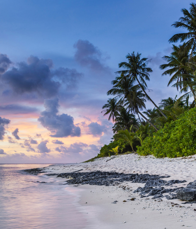 Andaman Honeymoon