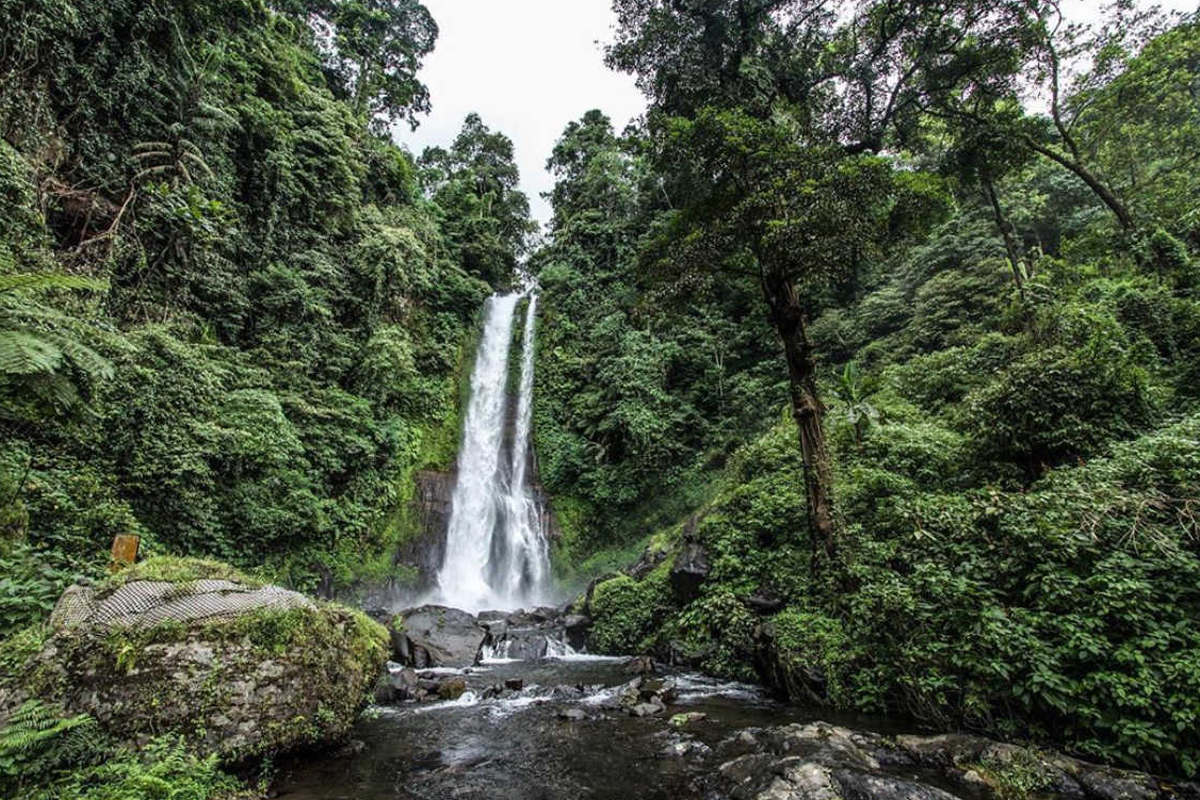 Git Git Waterfall