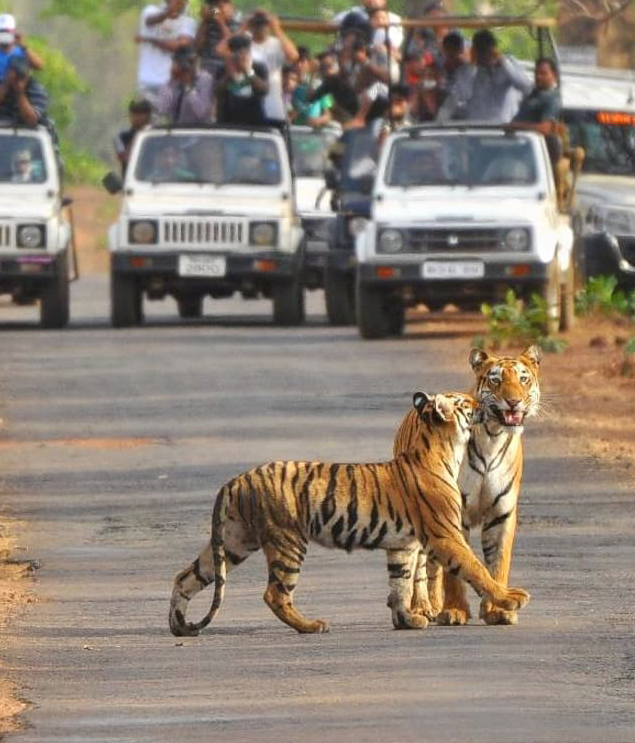 Nainital - Kausani - Jim Corbett