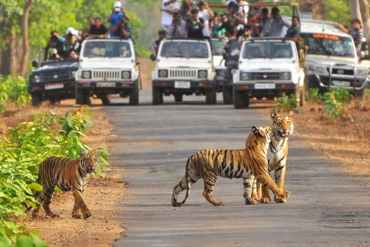 Jim Corbett