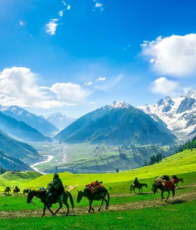 Kashmir with Sonmarg Honeymoon