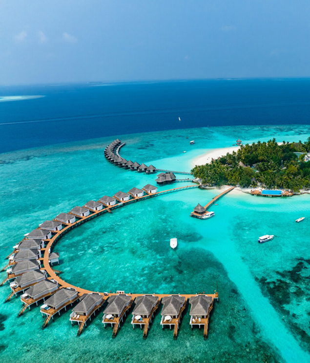 Maldives Honeymoon