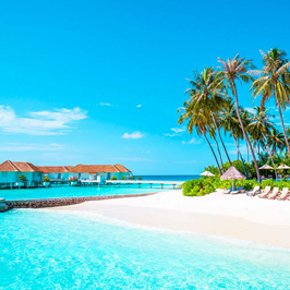 Maldives Honeymoon