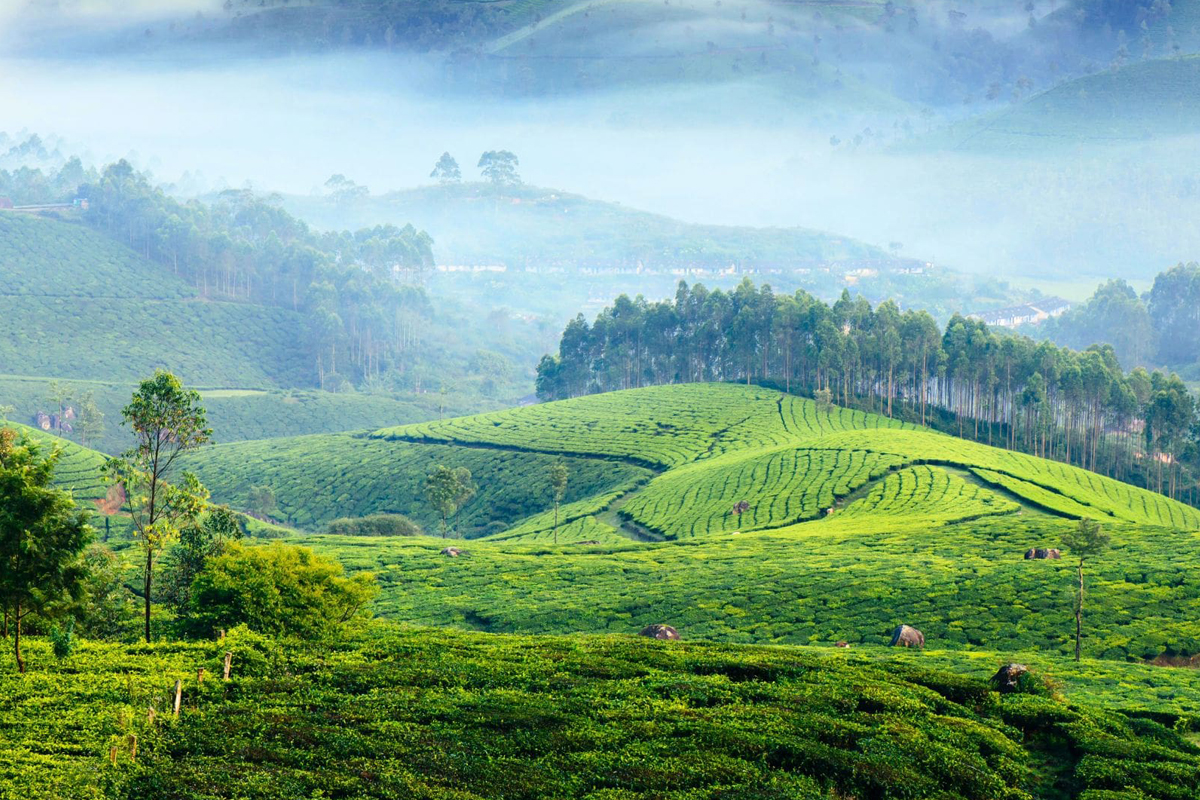 Munnar