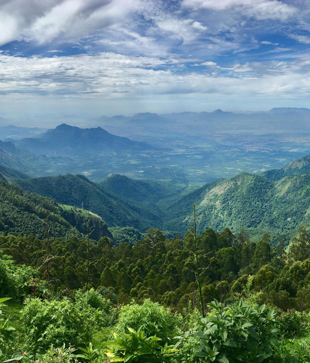 Mysore - Coorg - Ooty - Kodaikanal
