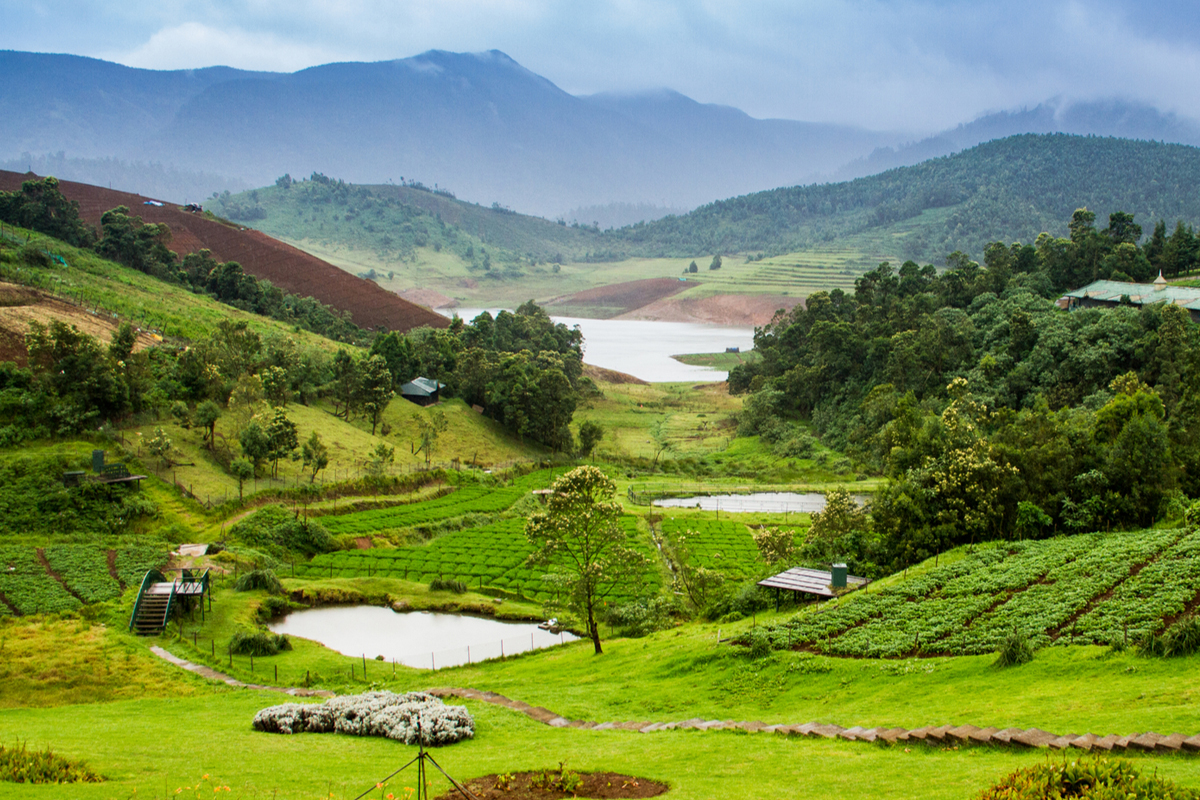 Ooty