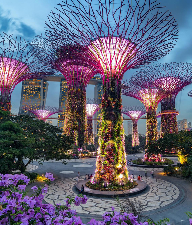 Singapore Honeymoon