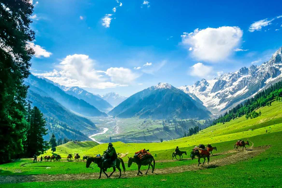 Sonmarg Pony Ride