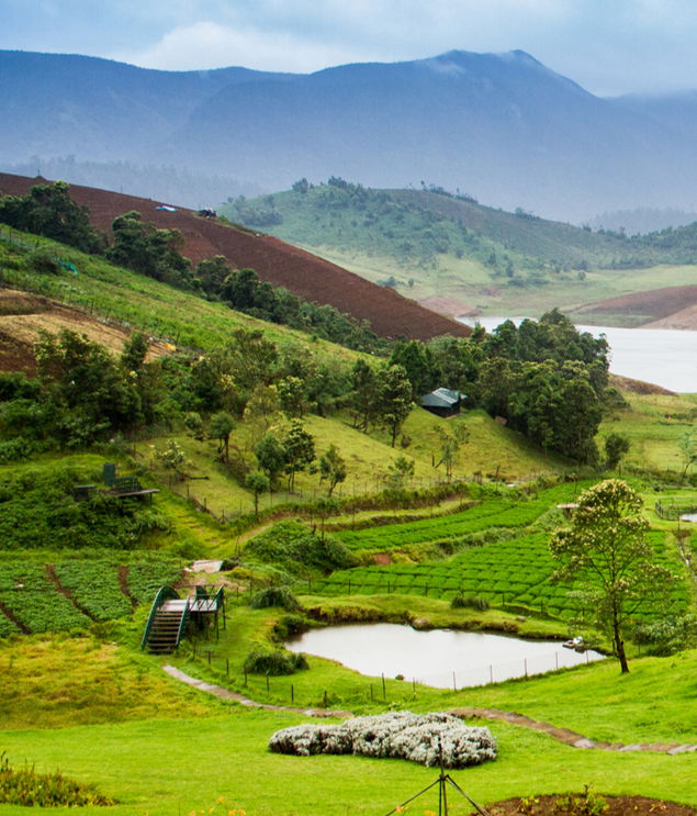 Mysore - Ooty - Kodaikanal