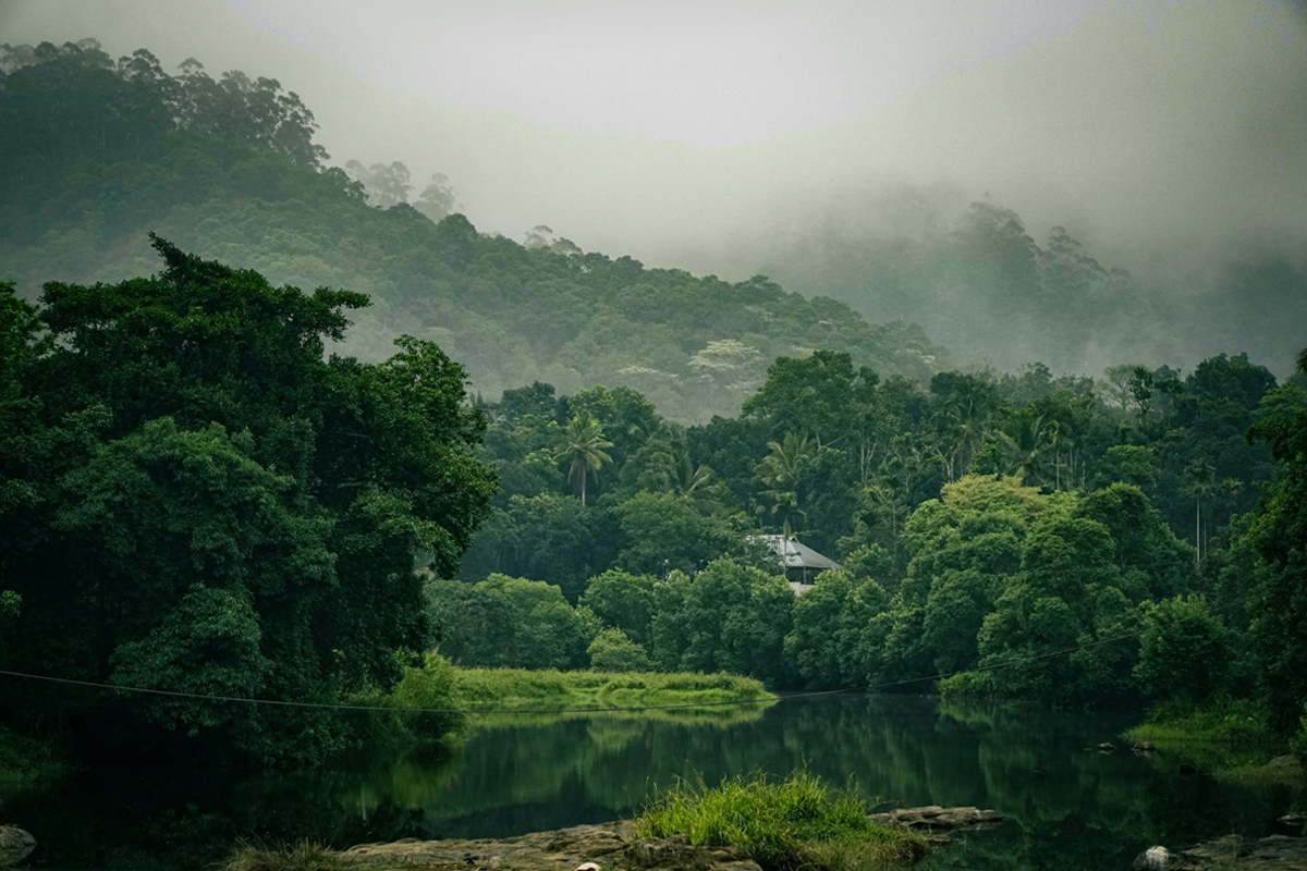 Thekkady