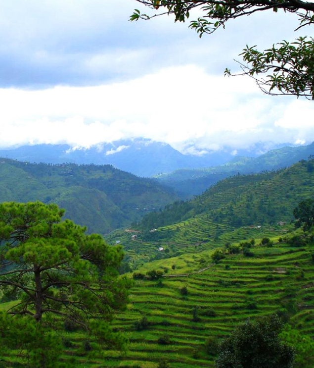 Uttrakhand Honeymoon