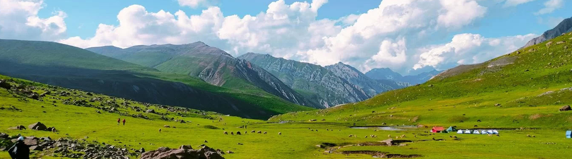Parv Travels & Consultant