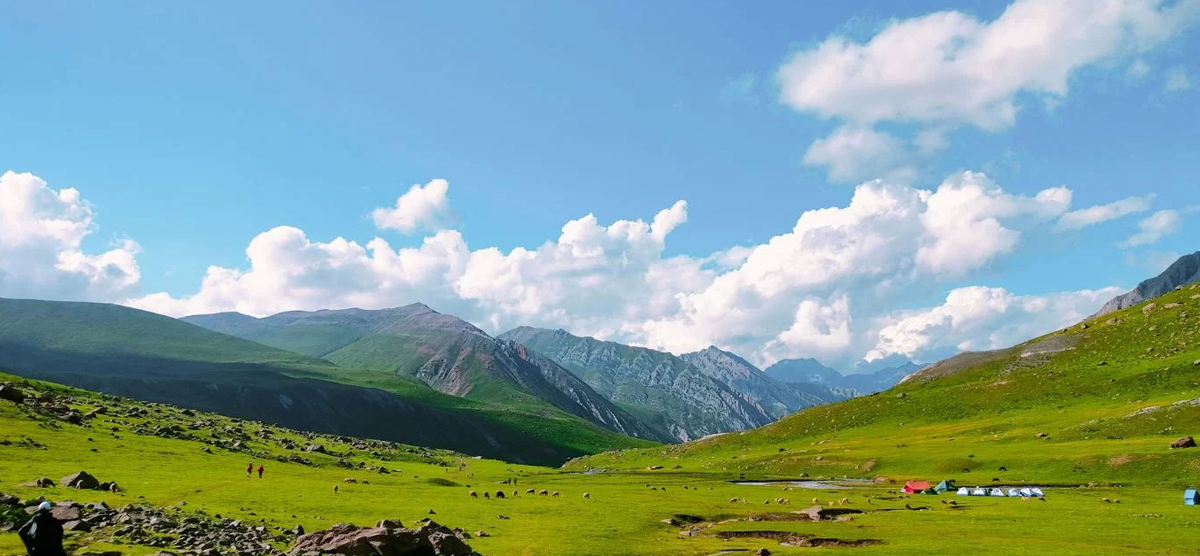 Parv Travels & Consultant