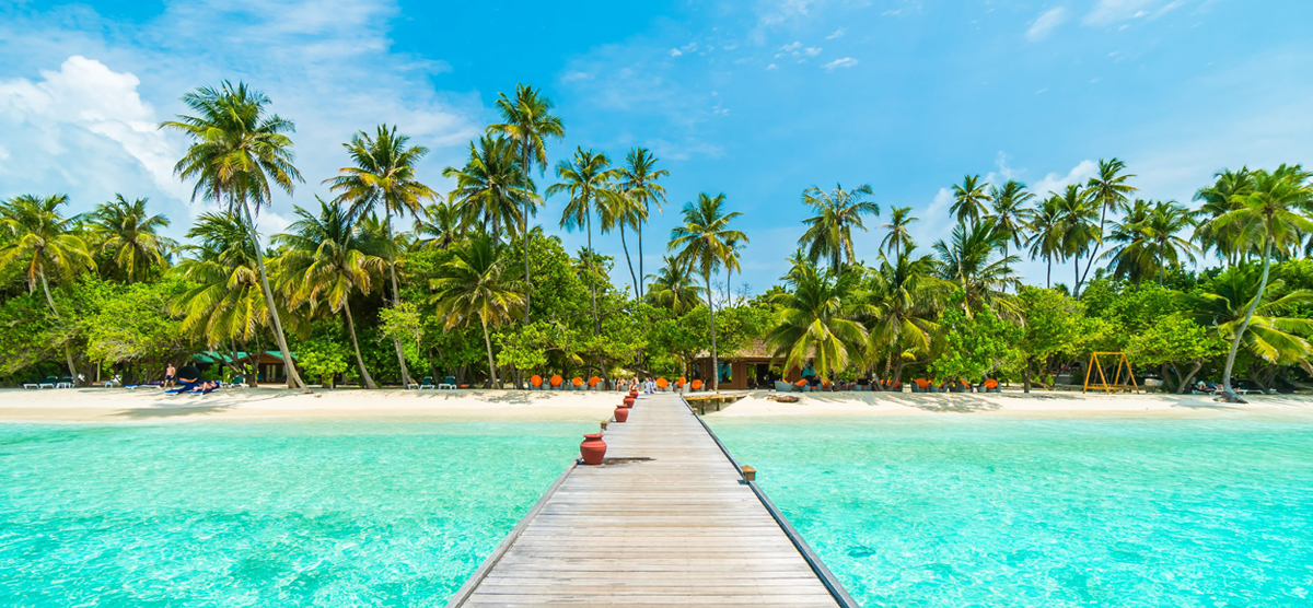 Parv Travels & Consultant