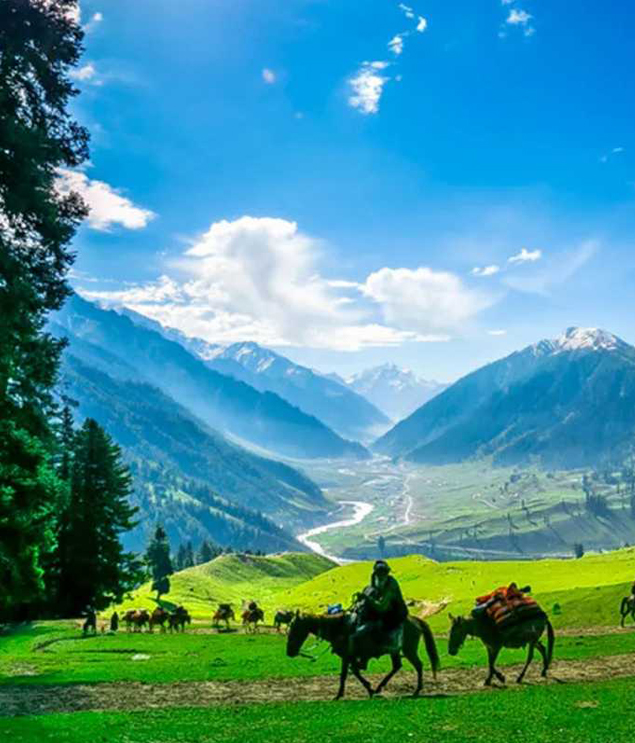 Kashmir