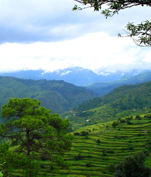 Uttrakhand